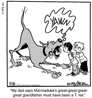 marmaduke